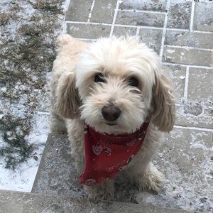 Meet your Posher, Cindy